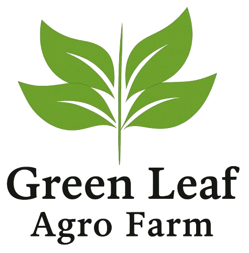 Green Leaf Agro Firm